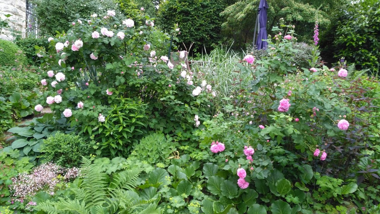 Garten Garten